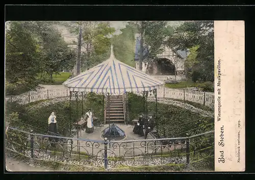 AK Bad Steben, Wiesenquelle mit Musikpavillon
