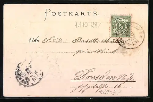 Passepartout-Lithographie Hall, Soolbad, Wappen