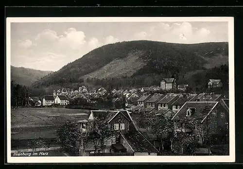 AK Ilsenburg im Harz, Ortsansicht mit Umland