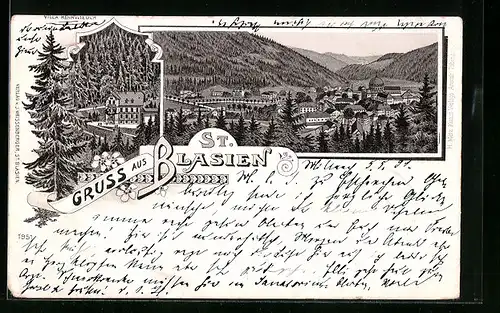 Lithographie St. Blasien, Villa Kehrwieder, Gesamtansicht aus der Vogelschau