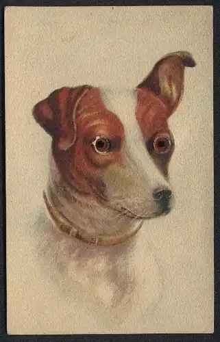 Glasaugen-AK Rot-weiss gescheckter Terrier