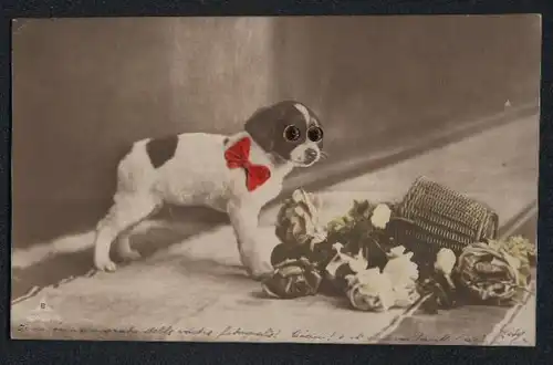 Glasaugen-AK Hund vor einem umgestürzten Blumenkorb