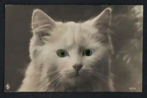 Glasaugen-AK Weisse Katze mit grünen Augen