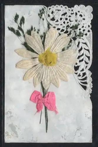 Trockenblumen-AK Blühende Margarite mit rosafarbener Schleife