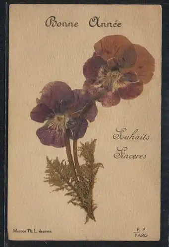 Trockenblumen-AK Bonne Annee, Luhaits Sinceres, Purpurfarbene Blumen mit aufgeklebtem Grün