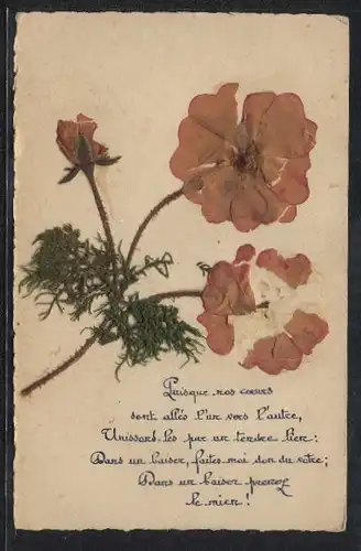Trockenblumen-AK Drei aufgeklebte Blüten mit Blattgrün in dunkelrosa