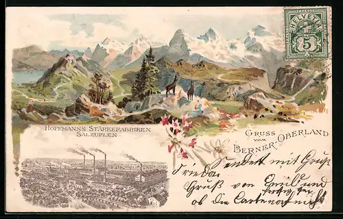 Lithographie Salzuflen, Panorama vom Berner Oberland, Hoffmanns Stärkefabriken