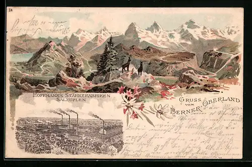Lithographie Salzuflen, Panorama vom Berner Oberland, Hoffmanns Stärkefabriken