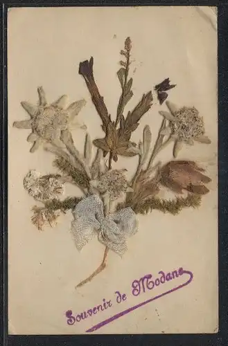 Trockenblumen-AK Souvenir de Modane, Prächtiger Blumenstrauss mit blauer Schleife