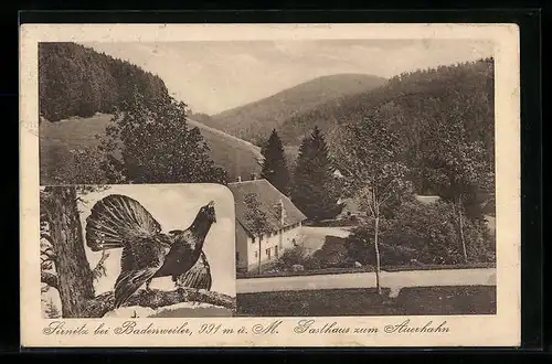 AK Sirnitz bei Badenweiler, Gasthaus zum Auerhahn