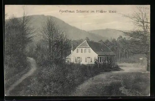 AK Wachenheim / Weinstr., Forsthaus Silbertal im Pfälzer Wald