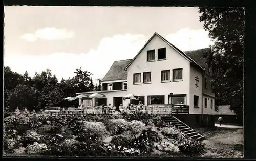 AK Beerfelden /Odw., Pension Reussenkreuz, Inh. Willy Kroll