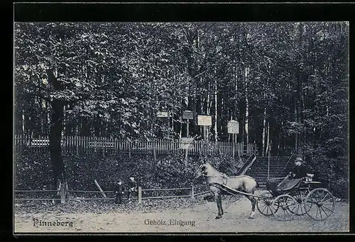 AK Pinneberg, Gehölz Eingang mit Pferdewagen