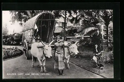AK Ceylon, Bullock Cart and Driver, Ochsengespann