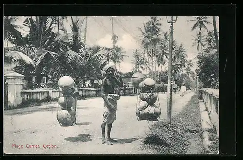 AK Ceylon, Pingo Carrier