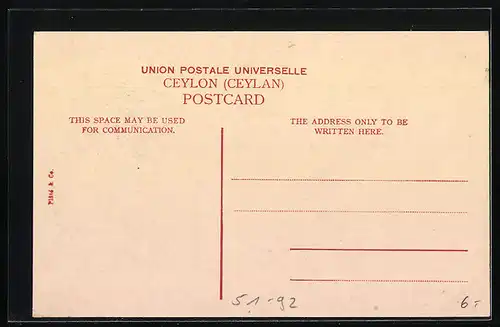 AK Ceylon, A village garden party