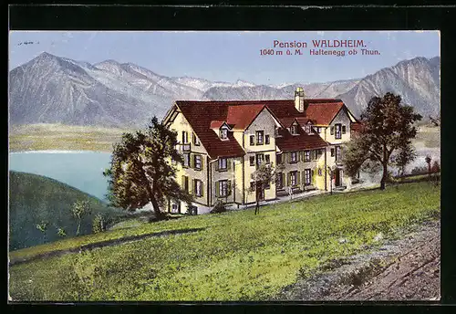 AK Haltenegg ob Thun, Pension Waldheim mit herrlicher Aussicht auf die Berge