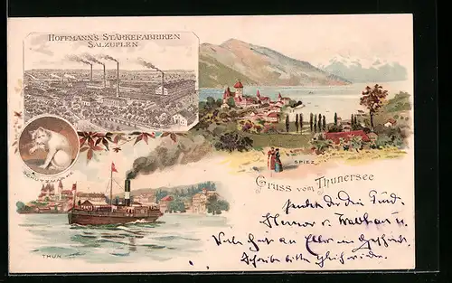 Lithographie Spiez, Totalansicht mit Thunersee, Dampfschiff vor Thun