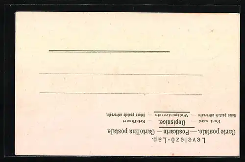 Lithographie Basel, Wetzsteinbrücke, Schweizer Wappen, Stadtansicht