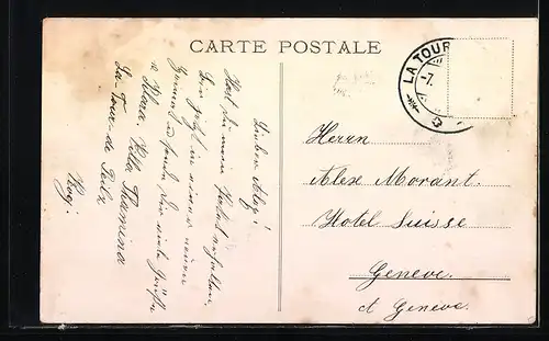 AK Vevey, Panorama mit Wasserpartie