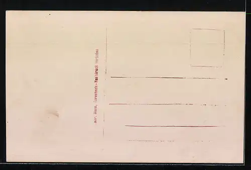 AK Nesslau, Partie bei Nesslau, Ruhende Kühe auf der Weide