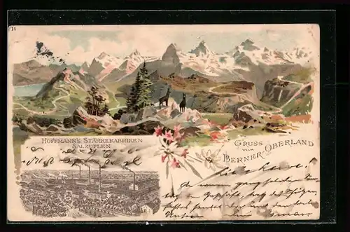 Lithographie Salzuflen, Panorama vom Berner Oberland, Hoffmanns Stärkefabriken