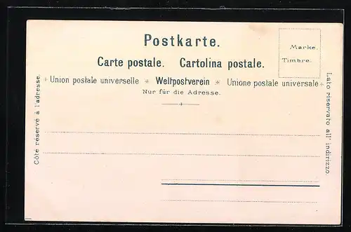 Lithographie Meiringen, Ortsansicht aus der Vogelschau mit Aareschlucht