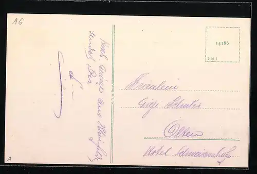 AK Rheinfelden, Restaurant-Pension zur Rheinlust mit Strasse