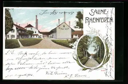 AK Rheinfelden, Totalansicht der Saline, Salinenstrasse