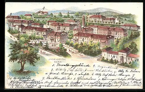 Lithographie Bern, Inselspital aus der Vogelschau