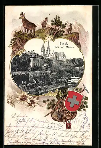 AK Basel, Pfalz mit Münster, Wappen