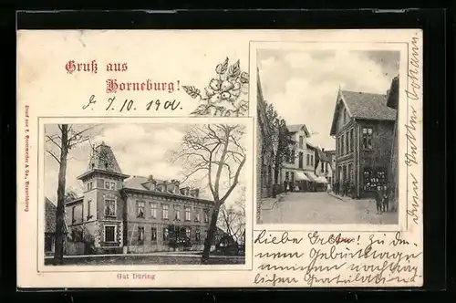 AK Horneburg, Strassenpartie und Haus Gut Düring