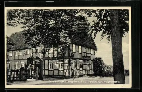 AK Ammenhausen bei Lamspringe a. H., Pensionshaus Waidmannsheil O. Nordroff mit Strasse