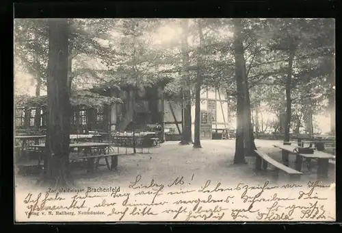 AK Brachenfeld, Gastwirtschaft Zur Waldwiese, Gartenansicht