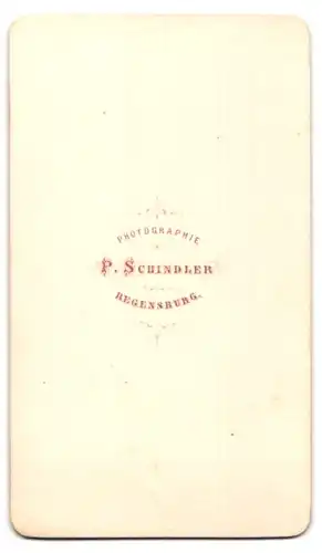 Fotografie P. Schindler, Regensburg, Blasierter junger Mann im Sonntagsstaat