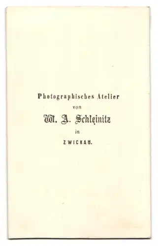 Fotografie W. A. Schleinitz, Zwickau, Junge Frau im schlichten Kleid mit freundlichen Lächeln