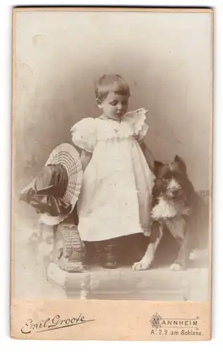 Fotografie Emil Groote, Mannheim, niedliches Kleinkind im Sommerkleid mit ihrem Hund