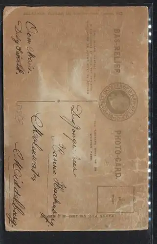 Glasaugen-AK Young Fox Terrier