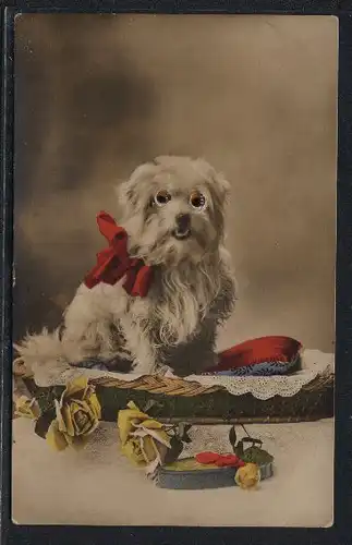 Glasaugen-AK Wuschliger Hund im Körbchen und mit roter Schleife
