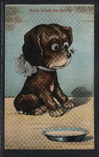 Glasaugen-AK Kleiner Hund mit Schleife und Fliege auf der Nase