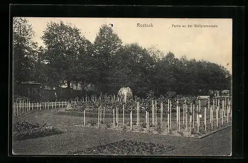 AK Rostock, Partie an der Wallpromenade