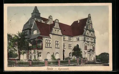 AK Steele, Gymnasium