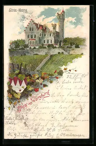 Lithographie Würzburg, Stein-Burg mit Weinberg