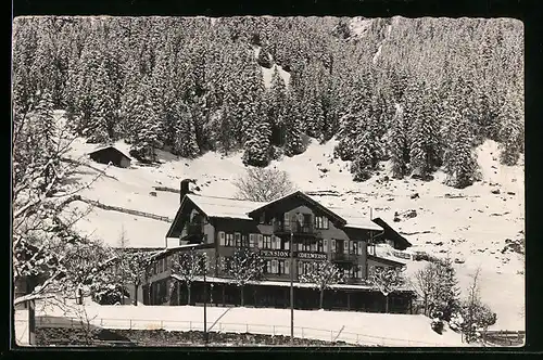 AK Adelboden, Pension Edelweiss im Schnee