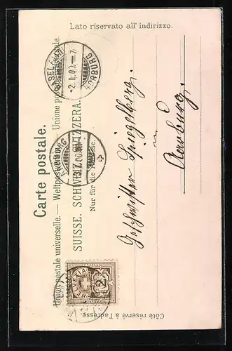 Lithographie Basel, St. Jacob Denkmal bei Nacht