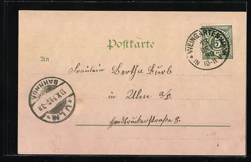 Lithographie Weingarten, Ortsansicht aus der Vogelschau