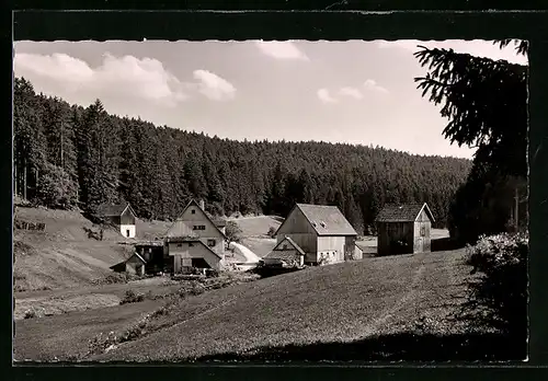 AK Herzogsweiler bei Freudenstadt, Im Zinsbachtal