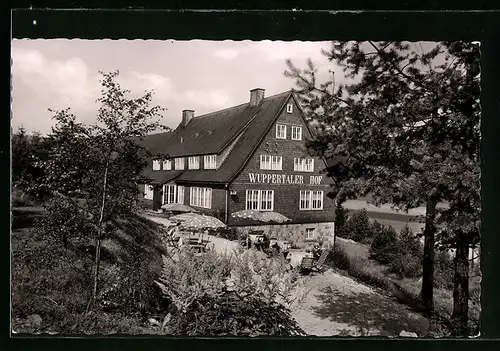 AK Willingen /Waldeck, Hotel-Pension Wuppertaler Hof