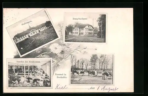 Passepartout-AK Kiel, Dampfmolkerei mit Stallungen und Kuhhaus