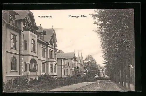 AK Flensburg, Nerongs-Allee mit Villen